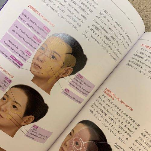 ヒアルロン酸の入れすぎ症候群 麗ビューティーブログ
