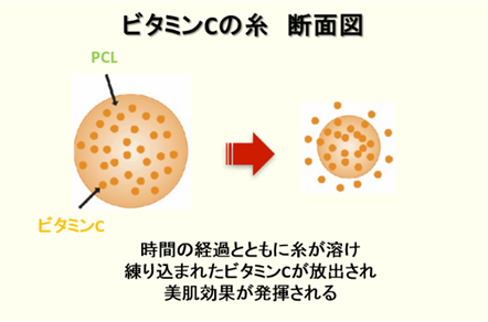 ビタミンの糸（PCL）