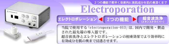 electroporation(エレクトロポレーション)